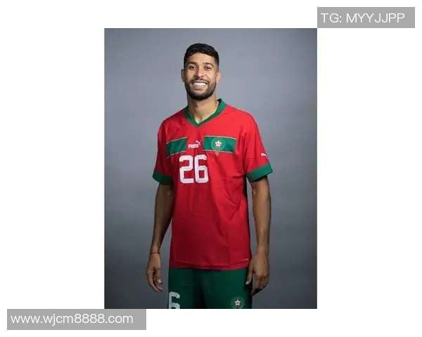 摩洛哥足球明星薪资与税收政策的深度解析与影响分析