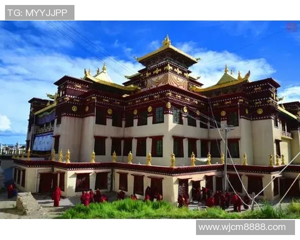 足球明星高丽娜的生平成就与精彩瞬间全景介绍